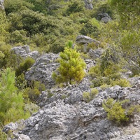 Photo de France - Le Cirque de Mourèze et le Lac du Salagou